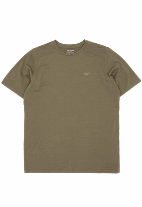 Striped modernity Arc'teryx Men's Ionia T-Shirt - Tatsu