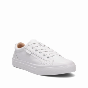 Softness All Base Plim Soul Lux