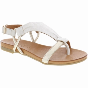 Vacation Trip All Day Wear Comfort ANESHA VELVET