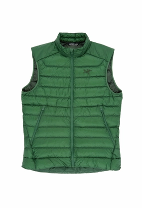 Cold Days Convertible Collar Style Arc'teryx Men's Cerium Vest - Eden
