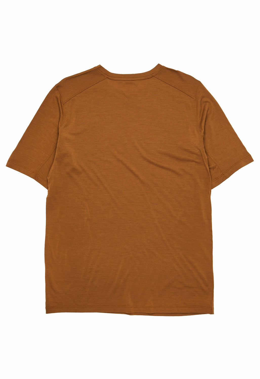 Trendy Casual Wear Arc'teryx Men's Ionia Merino Wool S/S Tee - Relic