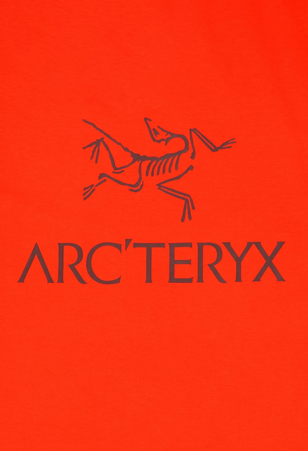 Arc'teryx Men's Kragg SL Bird Word T-Shirt - Dynasty / Mars Chill Comfort Wear