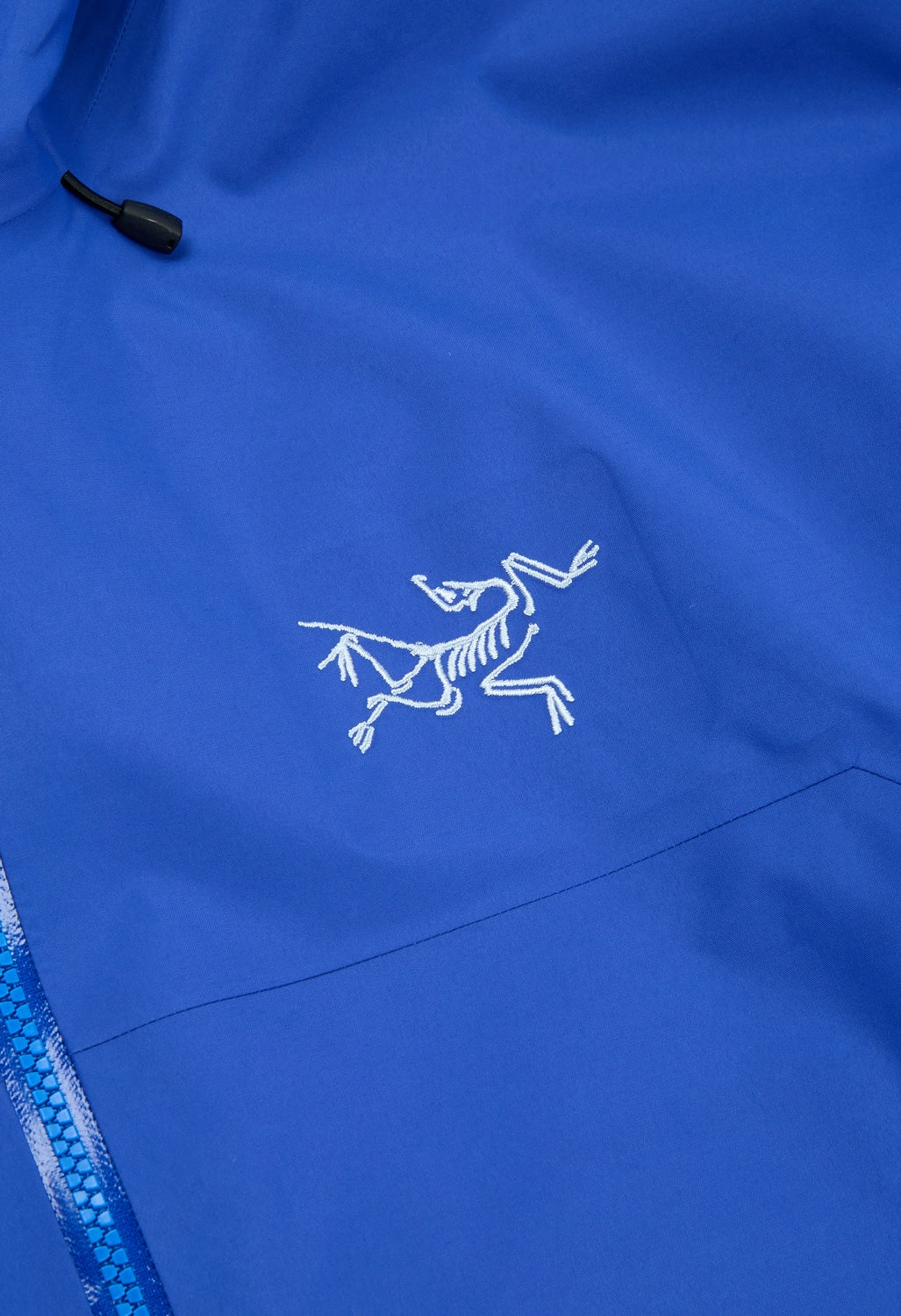 Classic Cut Arc'teryx Men's Beta SL Jacket - Vitality