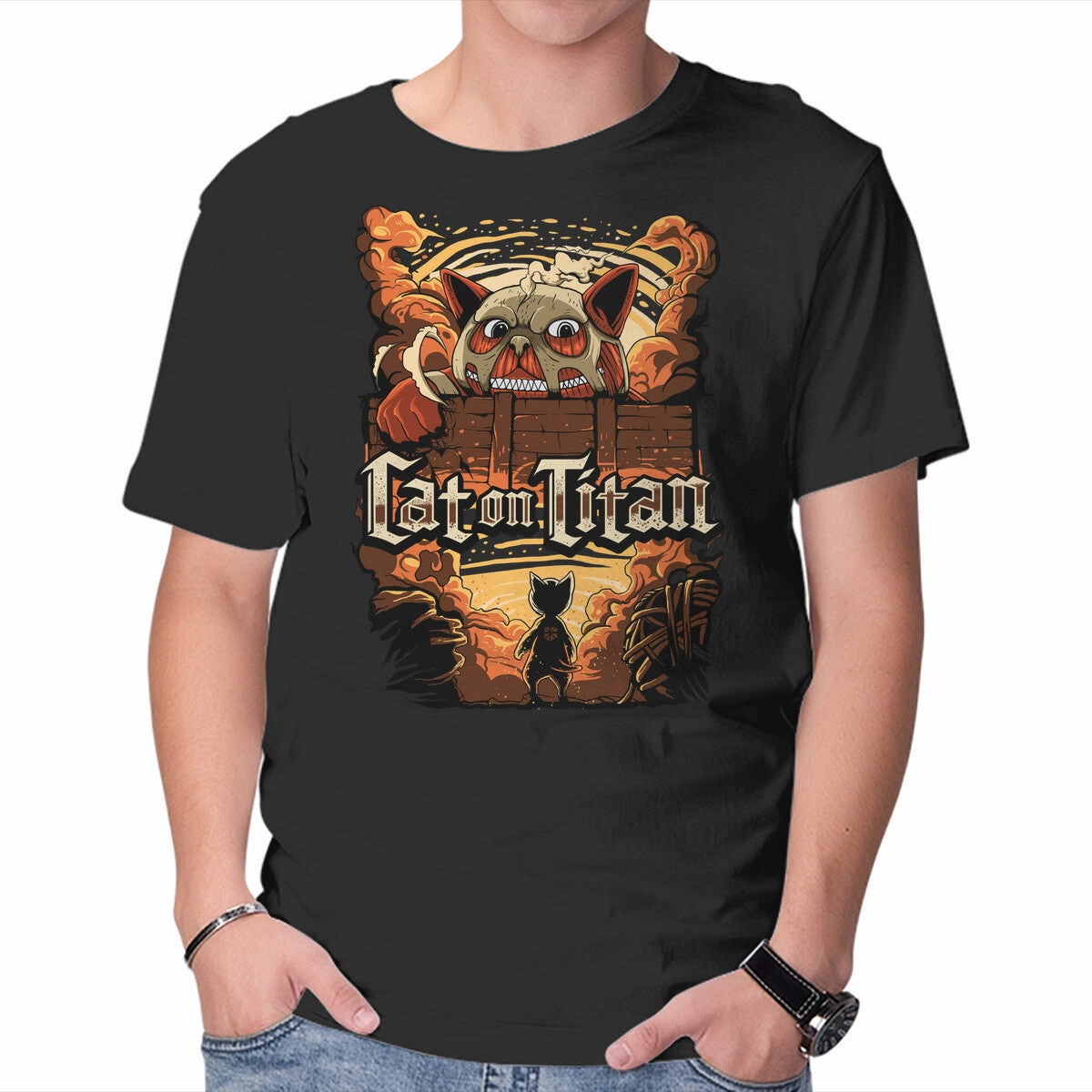Cat on Titan AntiStaticFinish