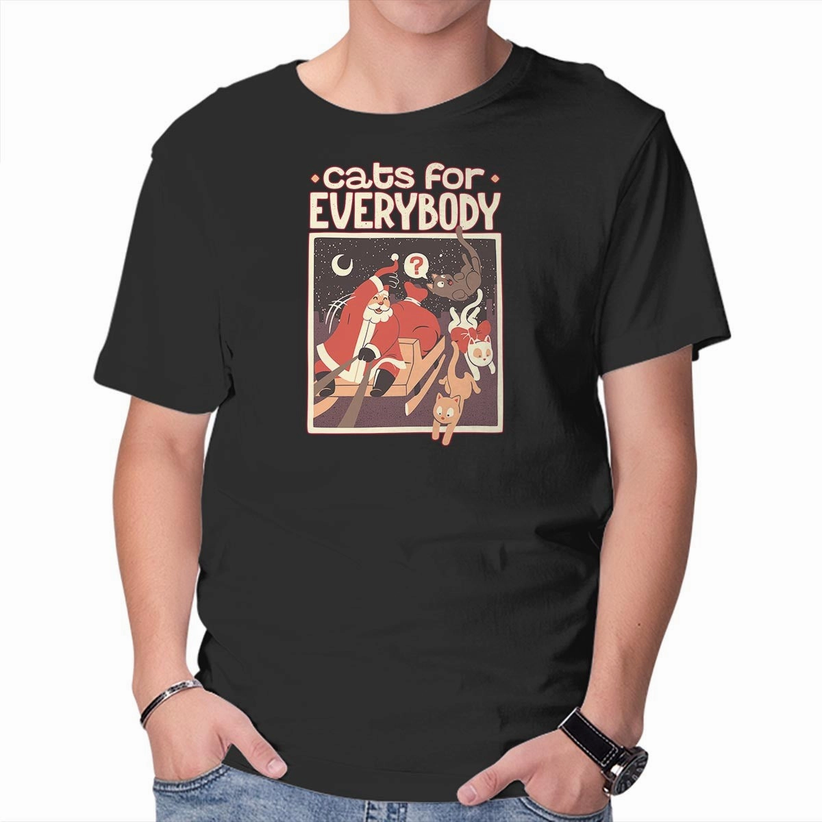Casual Appeal Cats For Everybody