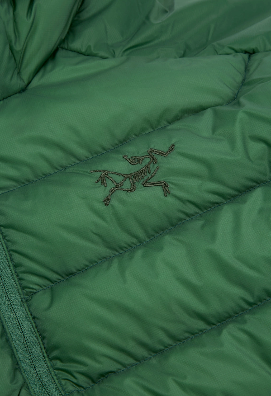 Clean Silhouette Arc'teryx Men's Cerium Hoody - Eden