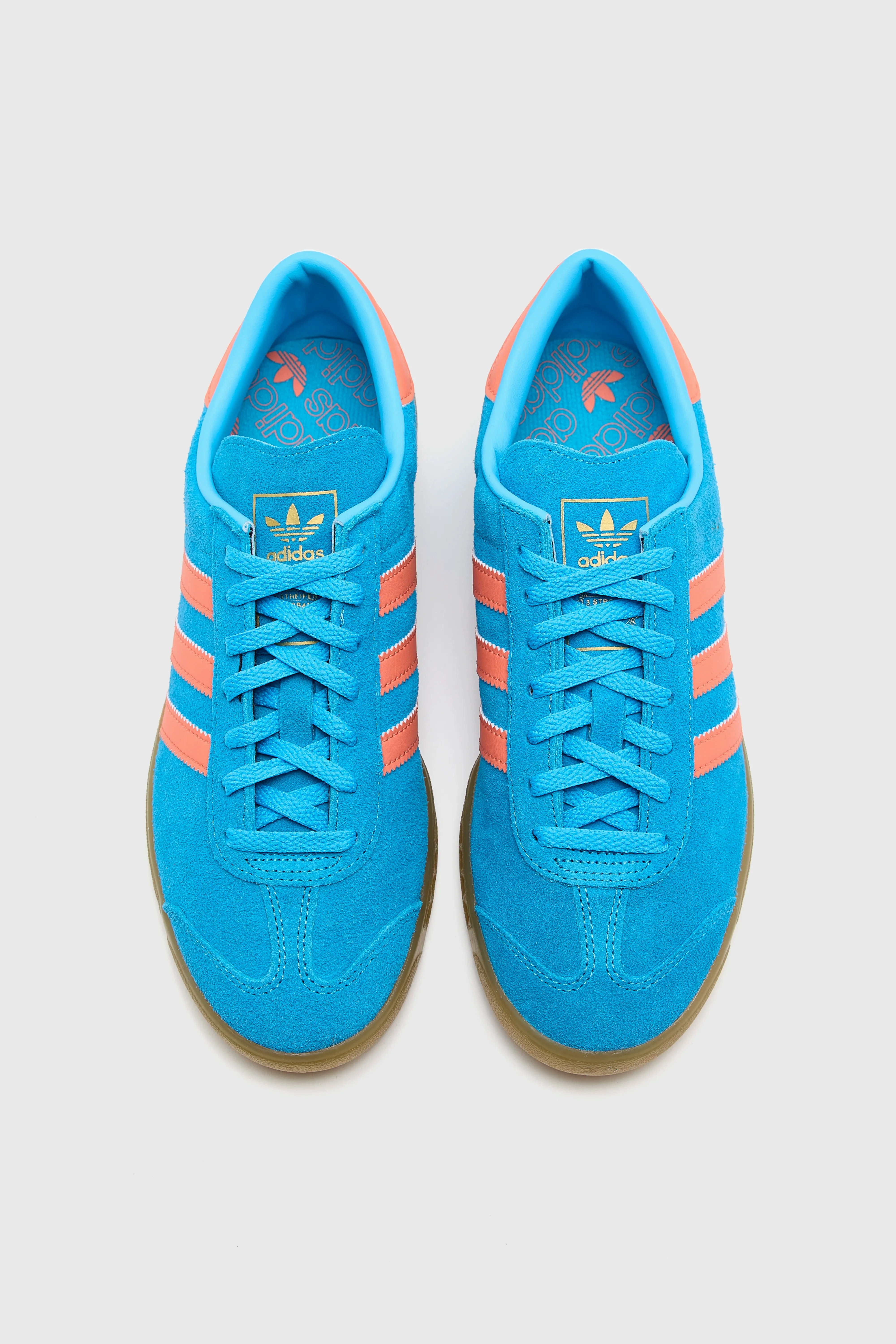 Hamburg for Women  (251 / W / BLUE) Smooth Curve