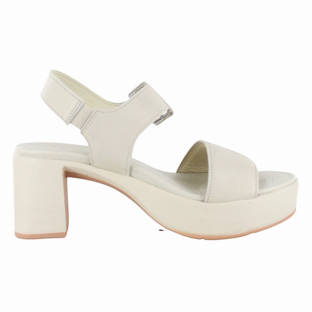 Tropical Mood Versatile Comfort Glamour Platform Sandal (123101)