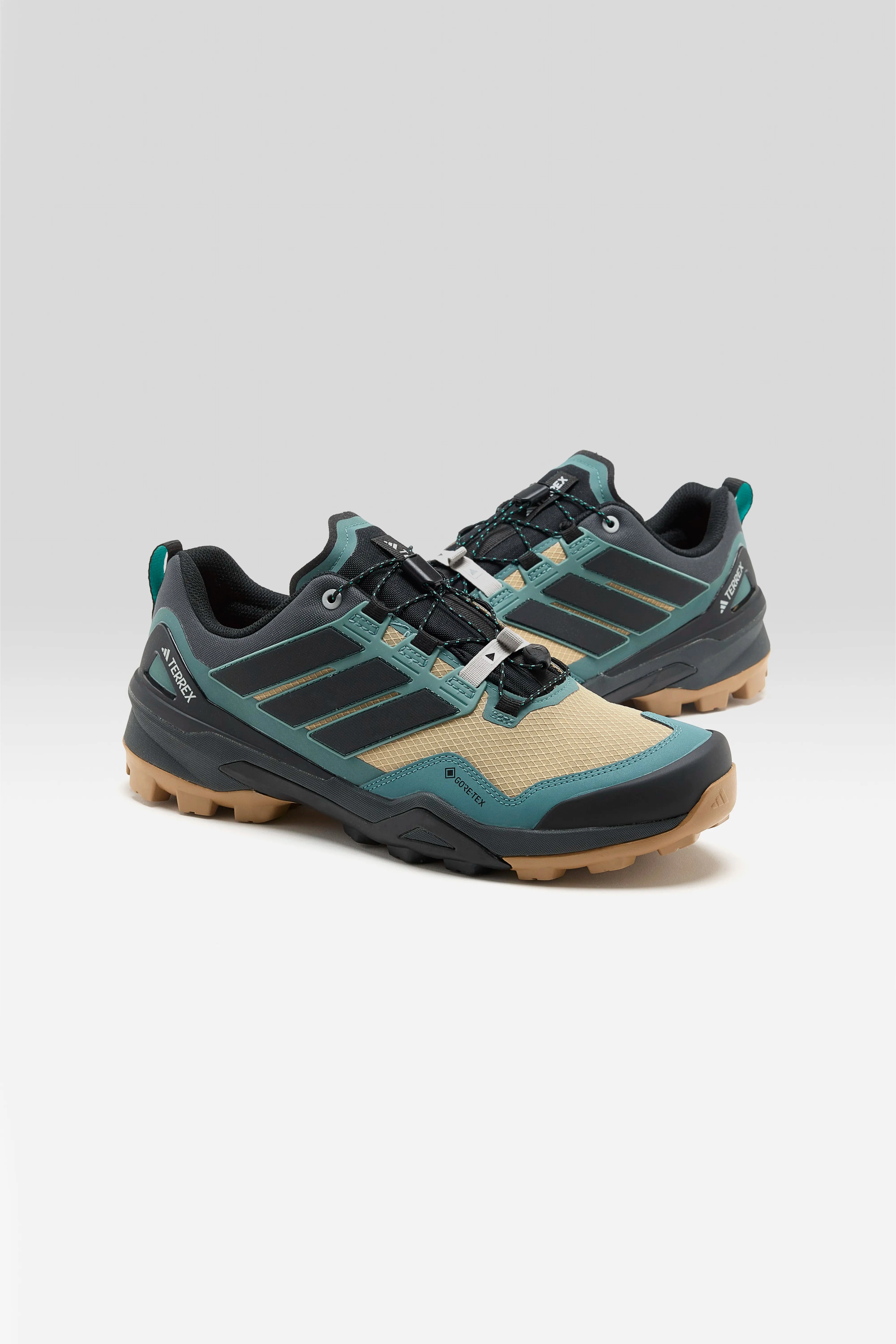 Cycling Terrex Skychaser Gore-Tex for Men  (252 / M / BROWN)