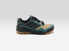 Terrex Skychaser Gore-Tex for Men  (252 / M / BROWN) Fast Step Long Travel