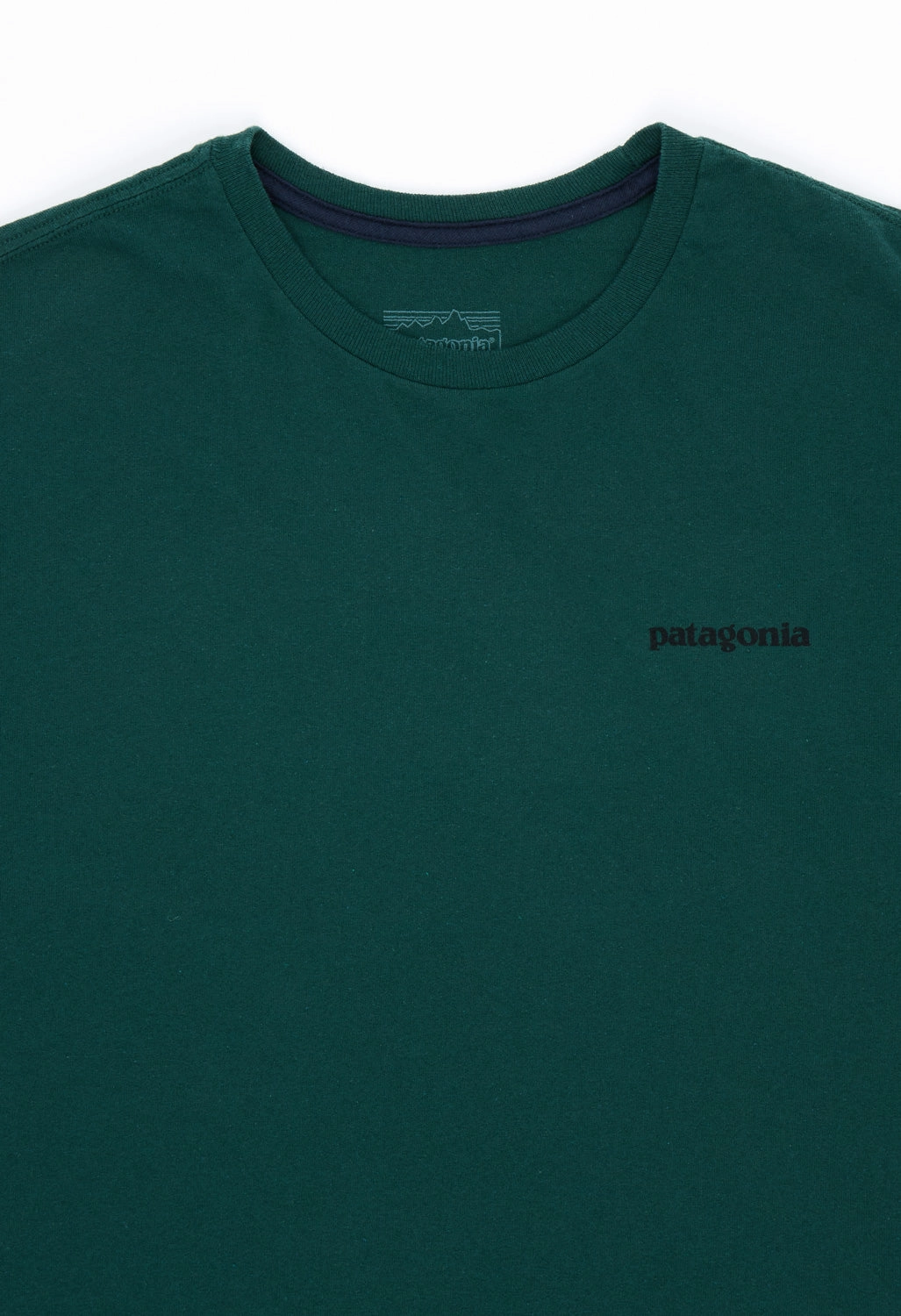 Patagonia Men's P-6 Logo Responsibili-Tee - Cascade Green VintageWash