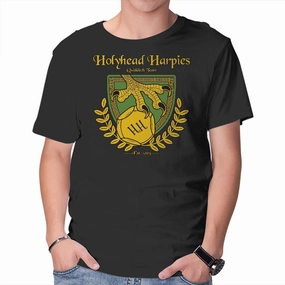 Cool and Comfortable Holyhead Harpies