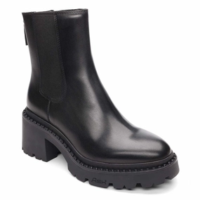All-Purpose Newton Chunky Chelsea Bootie