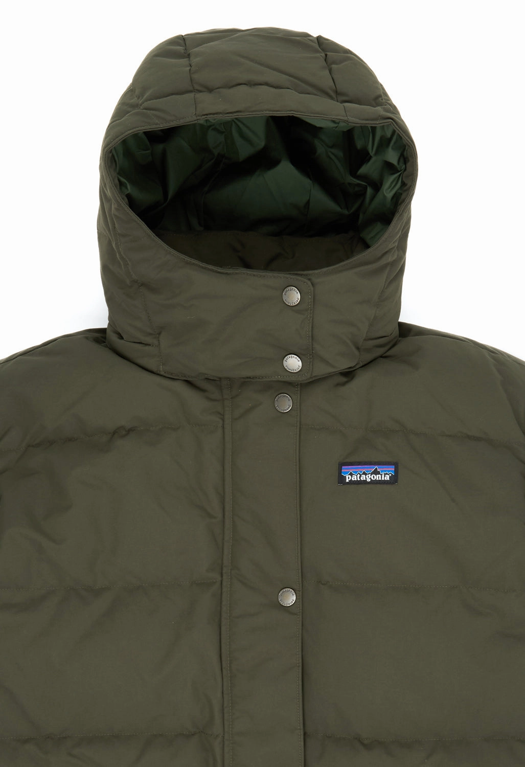 Modern Travel Look Patagonia Downdrift Women's Parka Jacket - Pine Needle Green