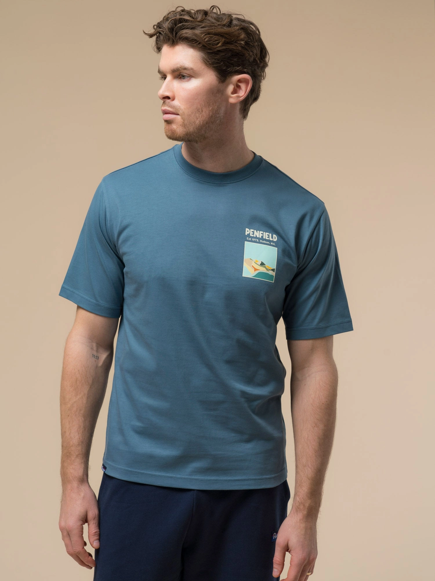 Comfy Essentials Penfield Mens Block Landscape Graphic T-Shirt in Blue Fusion