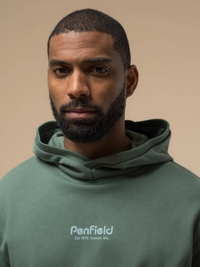 Moisture wicking product brand name recognition Penfield Mens Circle Landscape Hoodie in Dark Forest