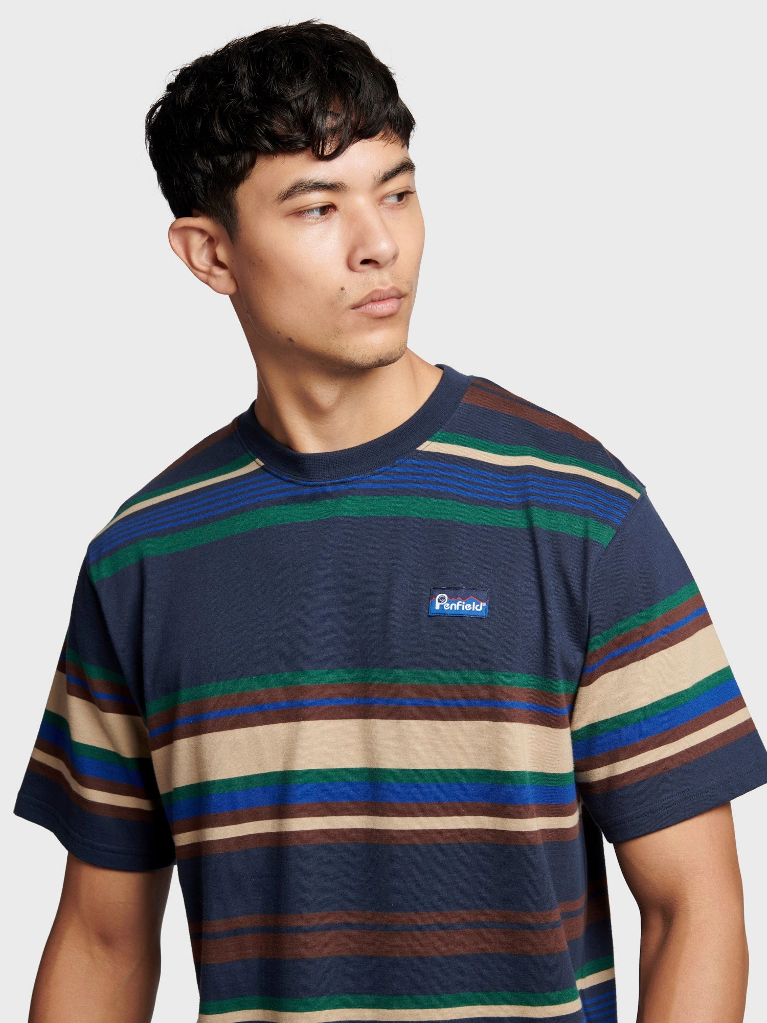 Penfield Mens Stripe T-Shirt in Navy Blue Comfortable Wear
