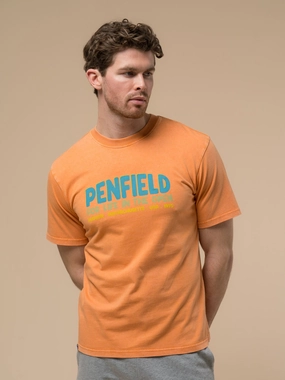 Workout Penfield Mens Retro Print T-Shirt in Golden Ochre