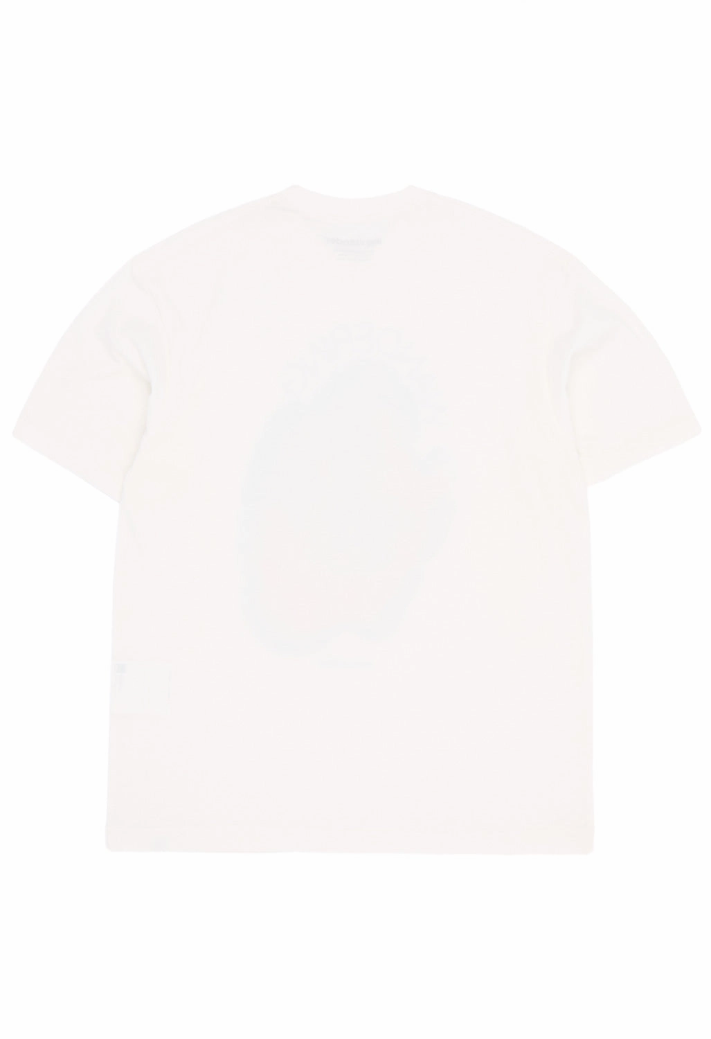 FadeResistantPrint Natural Fiber Blend and wander Men's WANDERING Printed Tee - White