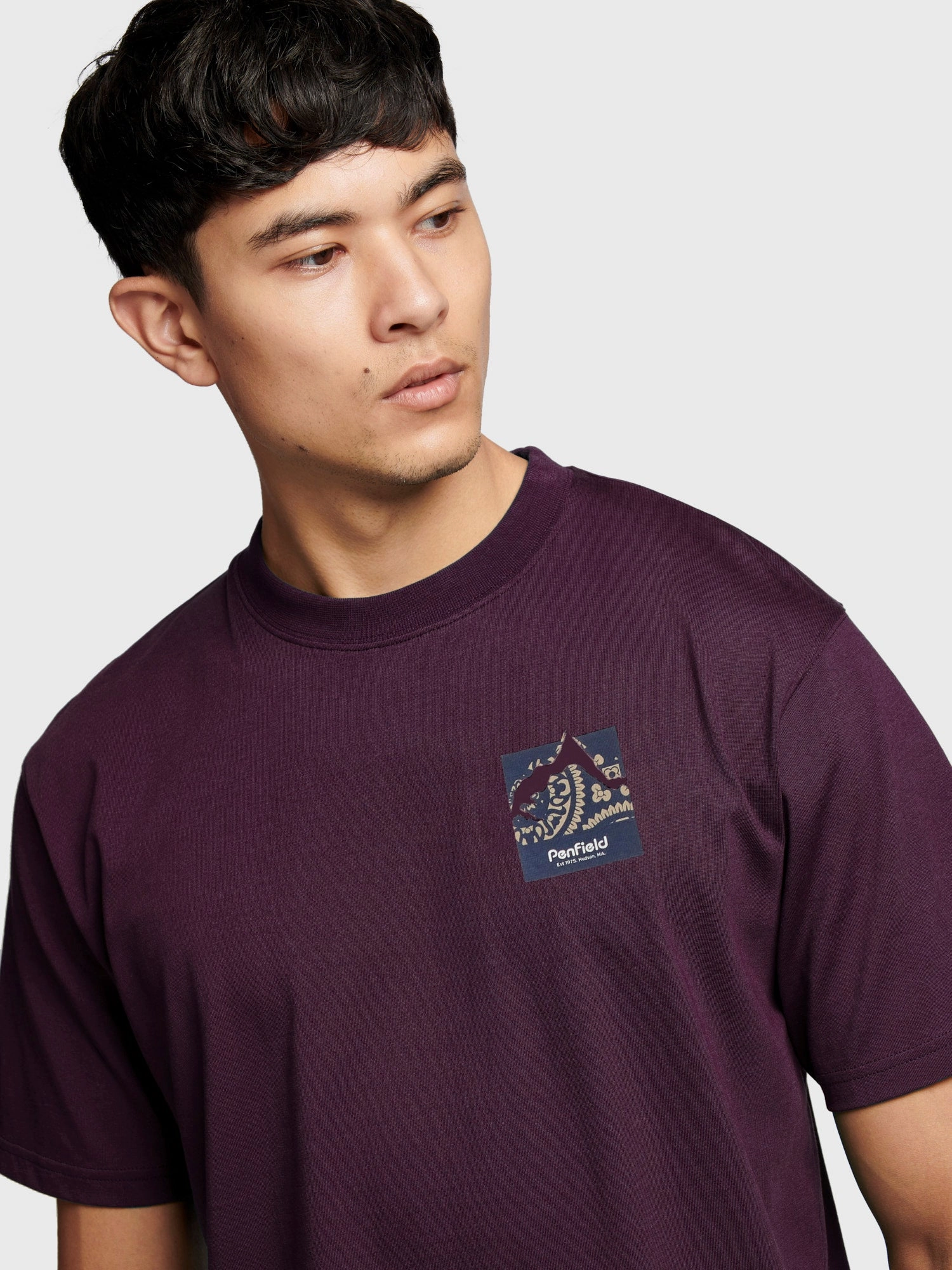 Penfield Mens Mountain Back Graphic T-Shirt Nightshade FadeResistant