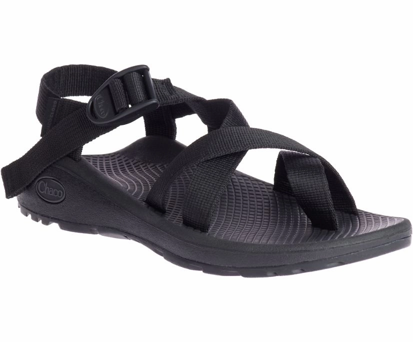 Enhanced Lateral Stability WOMEN'S Z CLOUD 2