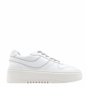 WOMEN'S SATINE Stitchless Design No Effort